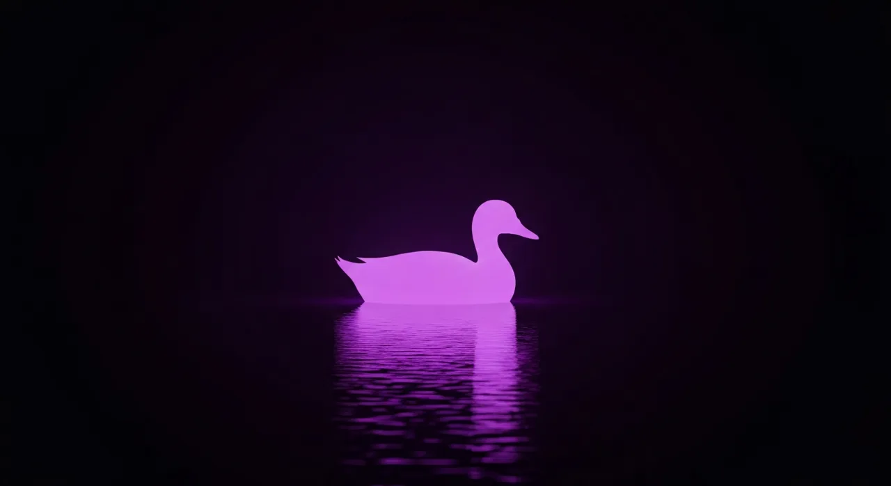 DuckDuckGo – co to jest i jak działa?